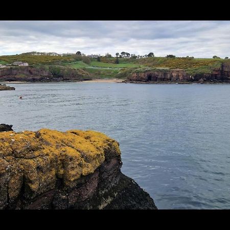 Sandy Cove Dunmore East Dış mekan fotoğraf