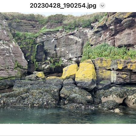 Sandy Cove Dunmore East Dış mekan fotoğraf