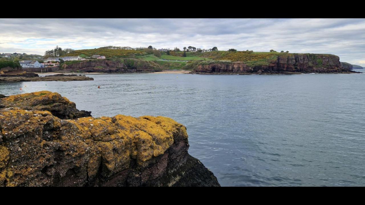 Sandy Cove Dunmore East Dış mekan fotoğraf